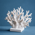 White Coral