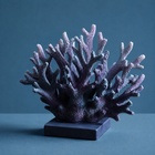 Purple Coral